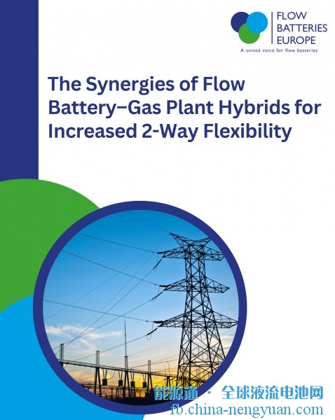 最新研究：结合液流电池和燃气发电厂的混合系统是能源转型的关键